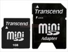 MiniSD 1GB